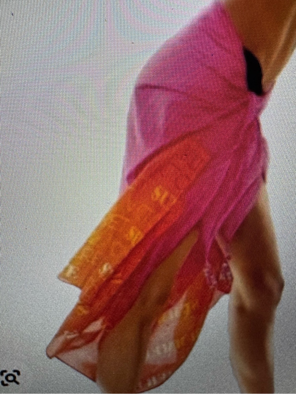 Victoria's Secret Pink and Orange Sheer Sarong Cover-Up